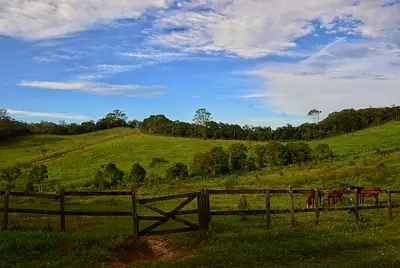 Fazenda Mandala Orgânicos